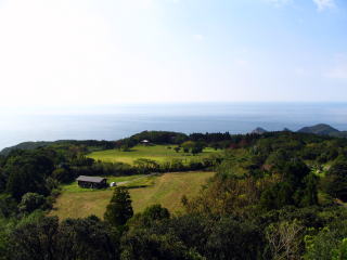 ���l�ʏ��Ձ@�X�g�[���T�[�N��